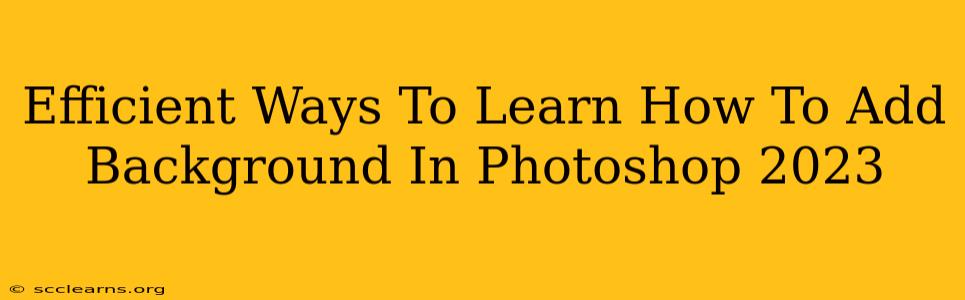 Efficient Ways To Learn How To Add Background In Photoshop 2023