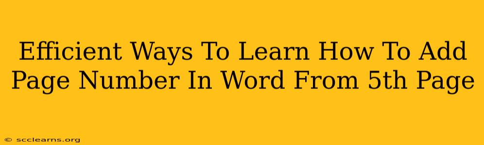 Efficient Ways To Learn How To Add Page Number In Word From 5th Page