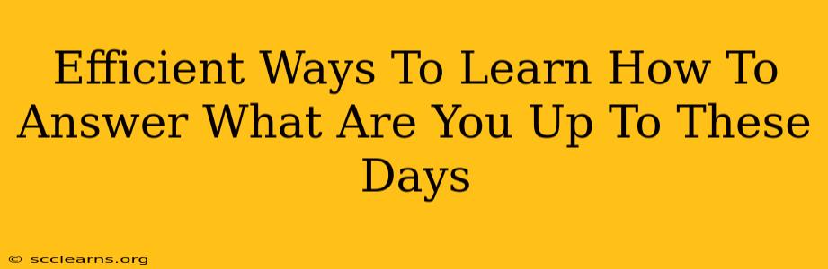 Efficient Ways To Learn How To Answer What Are You Up To These Days