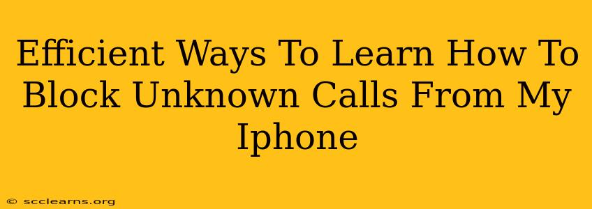 Efficient Ways To Learn How To Block Unknown Calls From My Iphone