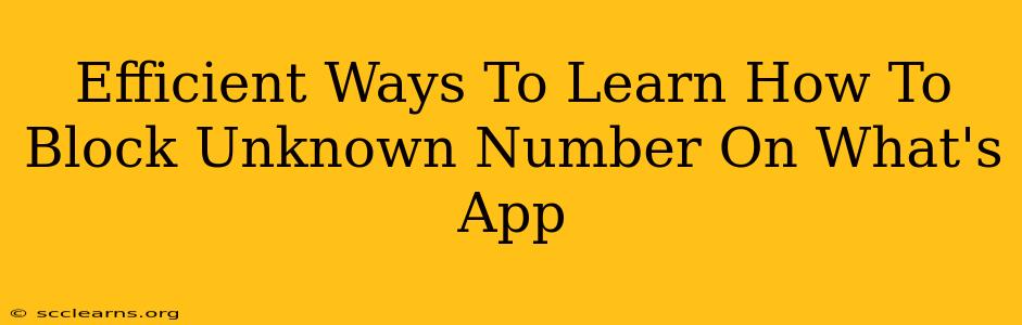 Efficient Ways To Learn How To Block Unknown Number On What's App