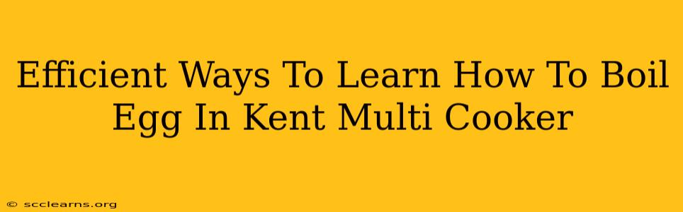 Efficient Ways To Learn How To Boil Egg In Kent Multi Cooker