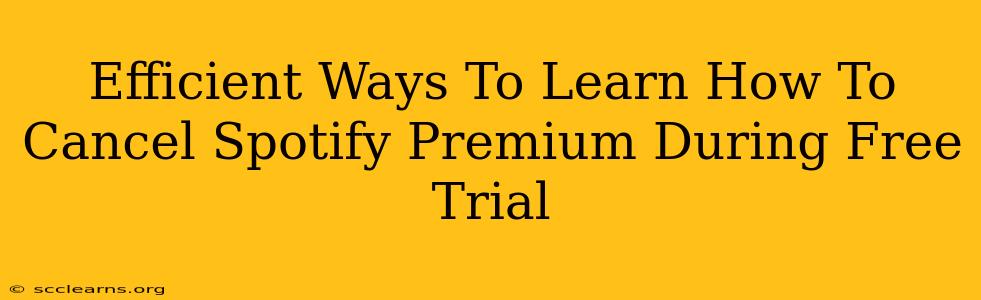 Efficient Ways To Learn How To Cancel Spotify Premium During Free Trial