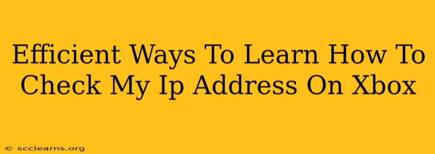 Efficient Ways To Learn How To Check My Ip Address On Xbox