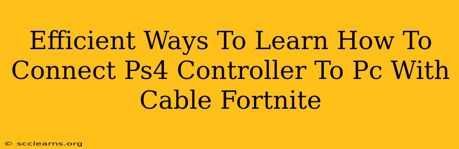 Efficient Ways To Learn How To Connect Ps4 Controller To Pc With Cable Fortnite