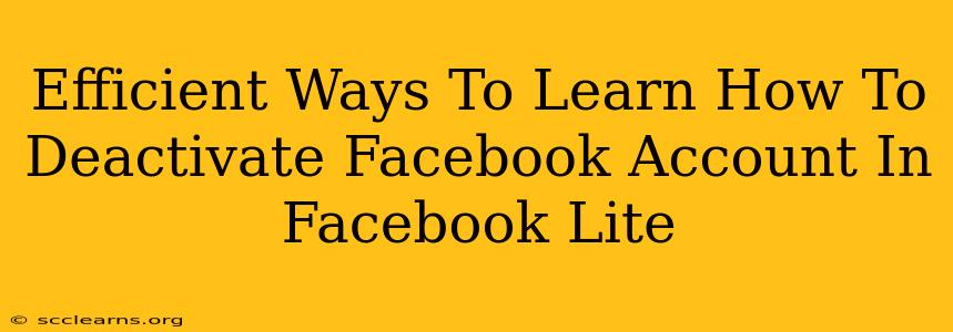 Efficient Ways To Learn How To Deactivate Facebook Account In Facebook Lite