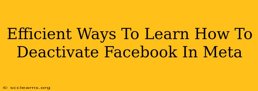 Efficient Ways To Learn How To Deactivate Facebook In Meta