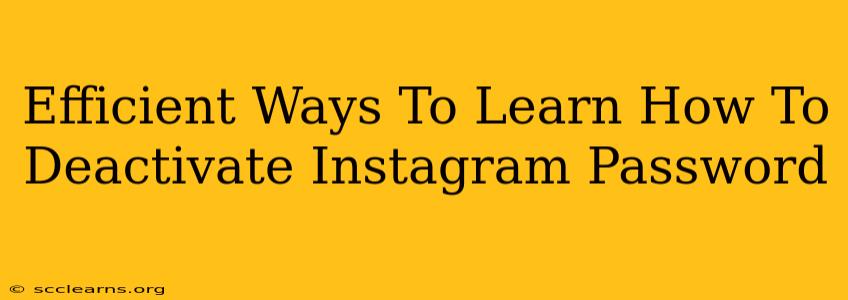 Efficient Ways To Learn How To Deactivate Instagram Password