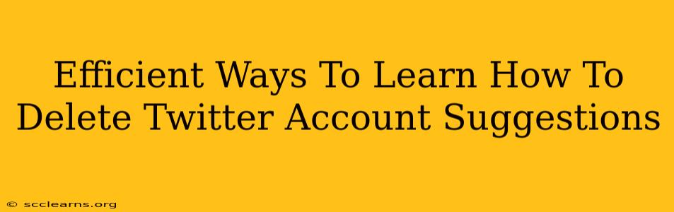 Efficient Ways To Learn How To Delete Twitter Account Suggestions