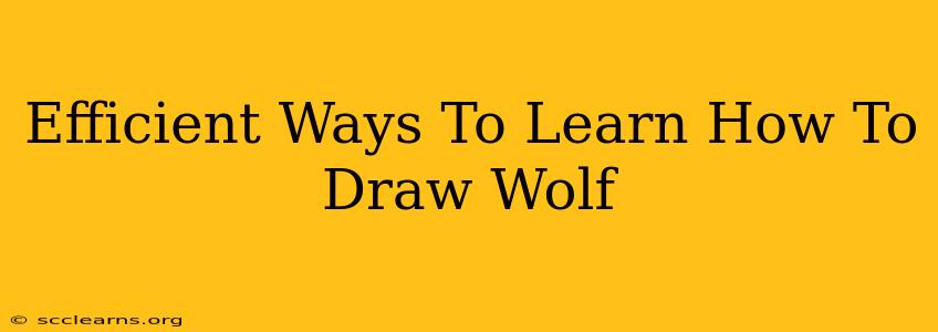 Efficient Ways To Learn How To Draw Wolf