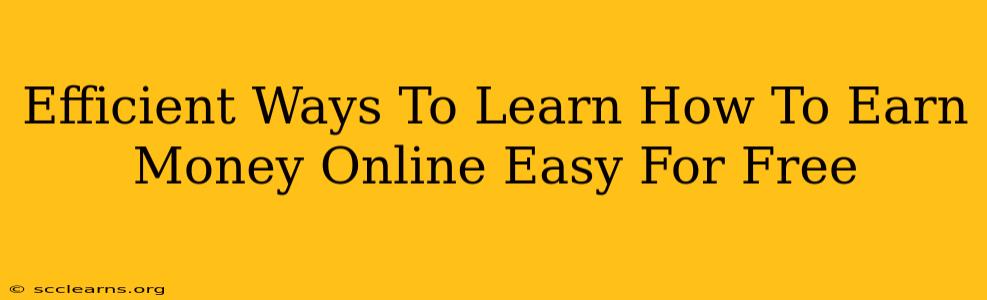 Efficient Ways To Learn How To Earn Money Online Easy For Free