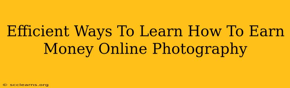 Efficient Ways To Learn How To Earn Money Online Photography