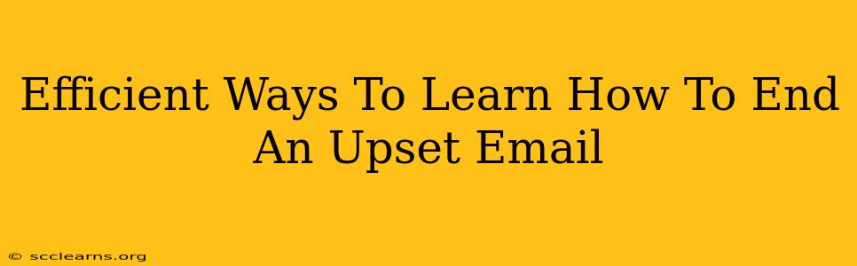 Efficient Ways To Learn How To End An Upset Email