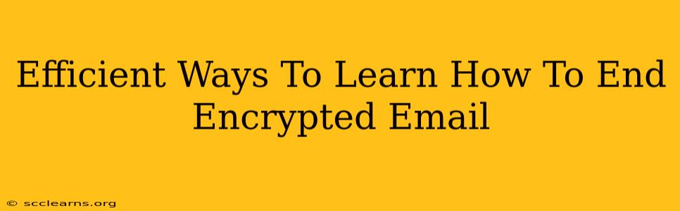 Efficient Ways To Learn How To End Encrypted Email