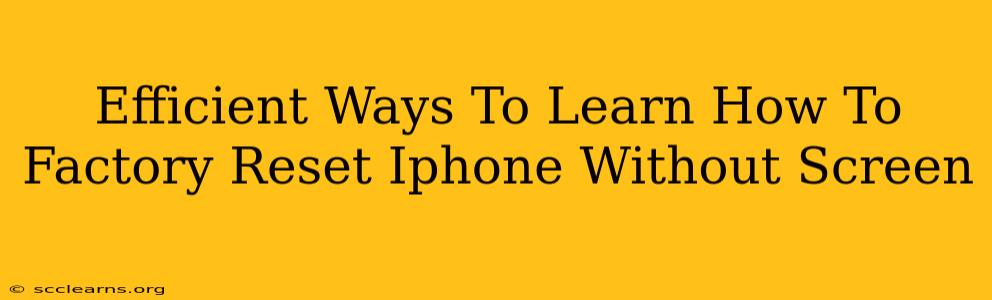 Efficient Ways To Learn How To Factory Reset Iphone Without Screen