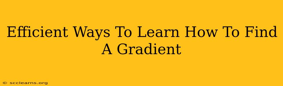 Efficient Ways To Learn How To Find A Gradient