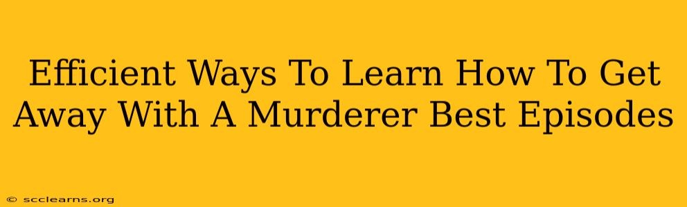 Efficient Ways To Learn How To Get Away With A Murderer Best Episodes