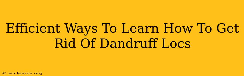 Efficient Ways To Learn How To Get Rid Of Dandruff Locs