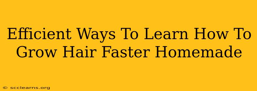 Efficient Ways To Learn How To Grow Hair Faster Homemade