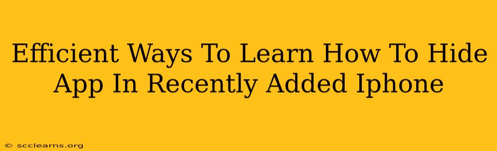 Efficient Ways To Learn How To Hide App In Recently Added Iphone