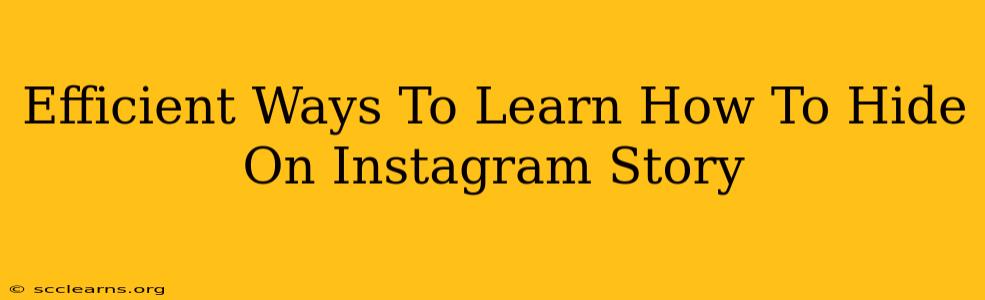 Efficient Ways To Learn How To Hide On Instagram Story