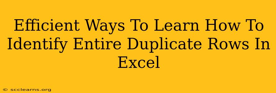 Efficient Ways To Learn How To Identify Entire Duplicate Rows In Excel