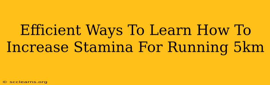 Efficient Ways To Learn How To Increase Stamina For Running 5km