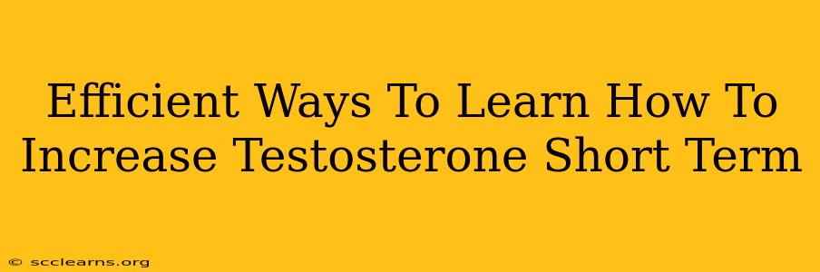 Efficient Ways To Learn How To Increase Testosterone Short Term