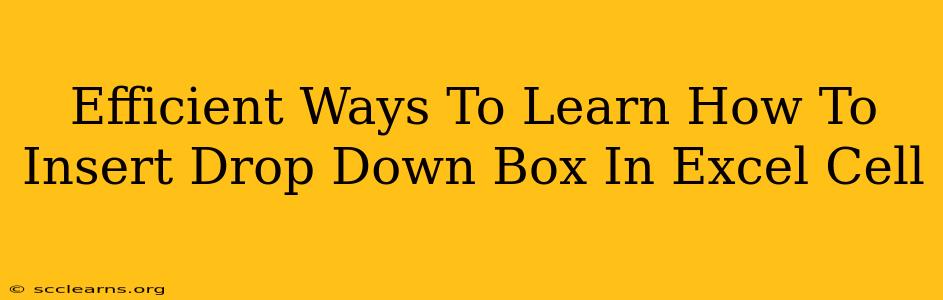 Efficient Ways To Learn How To Insert Drop Down Box In Excel Cell