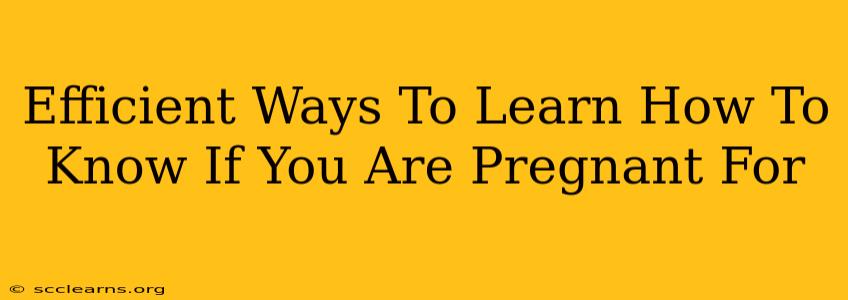 Efficient Ways To Learn How To Know If You Are Pregnant For