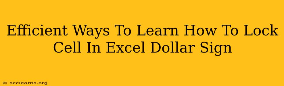 Efficient Ways To Learn How To Lock Cell In Excel Dollar Sign