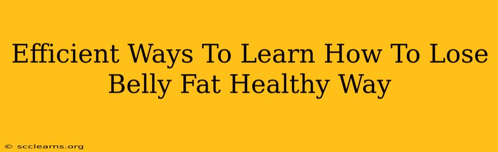 Efficient Ways To Learn How To Lose Belly Fat Healthy Way