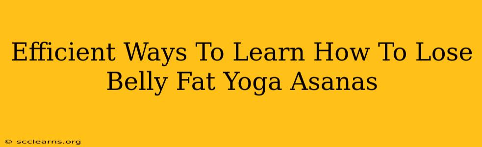 Efficient Ways To Learn How To Lose Belly Fat Yoga Asanas