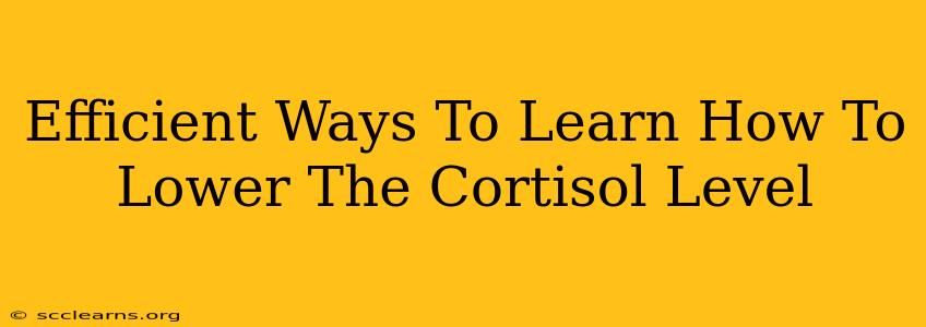 Efficient Ways To Learn How To Lower The Cortisol Level