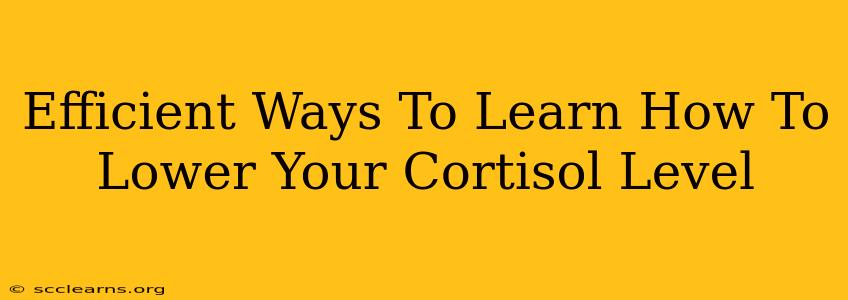 Efficient Ways To Learn How To Lower Your Cortisol Level