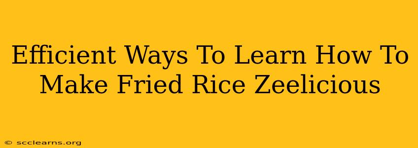 Efficient Ways To Learn How To Make Fried Rice Zeelicious