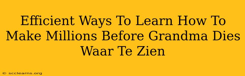 Efficient Ways To Learn How To Make Millions Before Grandma Dies Waar Te Zien