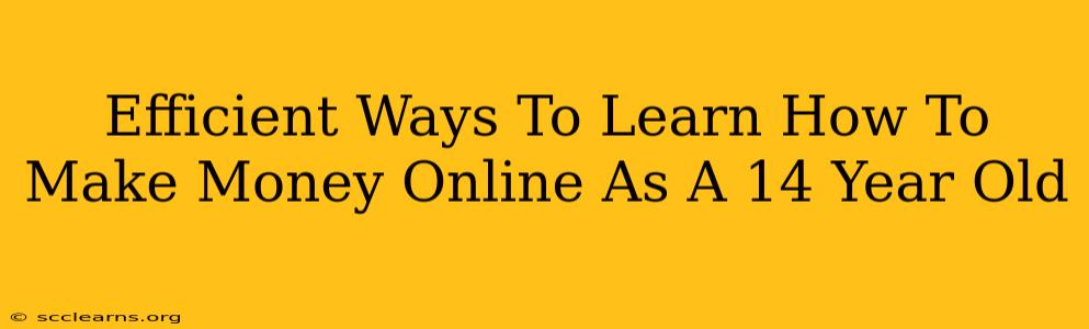 Efficient Ways To Learn How To Make Money Online As A 14 Year Old