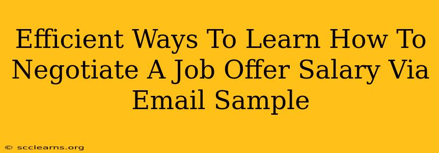 Efficient Ways To Learn How To Negotiate A Job Offer Salary Via Email Sample