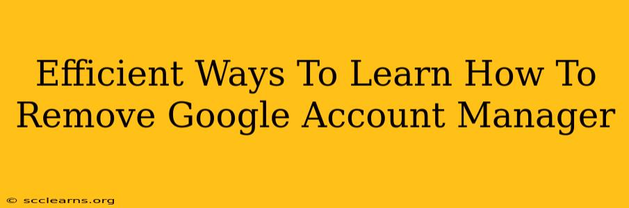 Efficient Ways To Learn How To Remove Google Account Manager