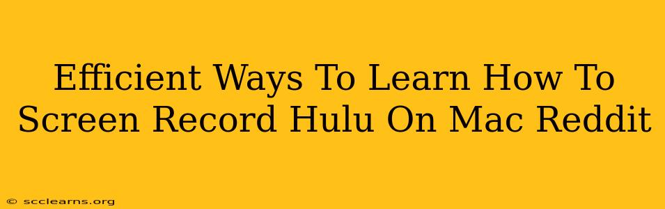 Efficient Ways To Learn How To Screen Record Hulu On Mac Reddit