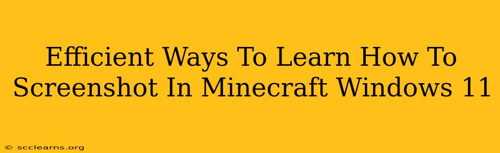 Efficient Ways To Learn How To Screenshot In Minecraft Windows 11