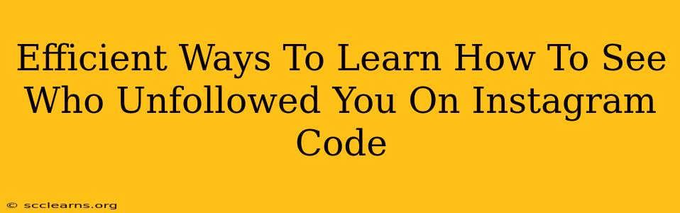 Efficient Ways To Learn How To See Who Unfollowed You On Instagram Code