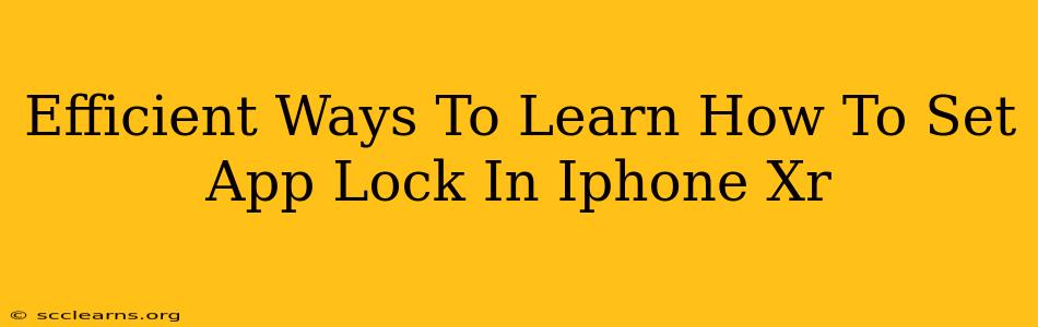 Efficient Ways To Learn How To Set App Lock In Iphone Xr