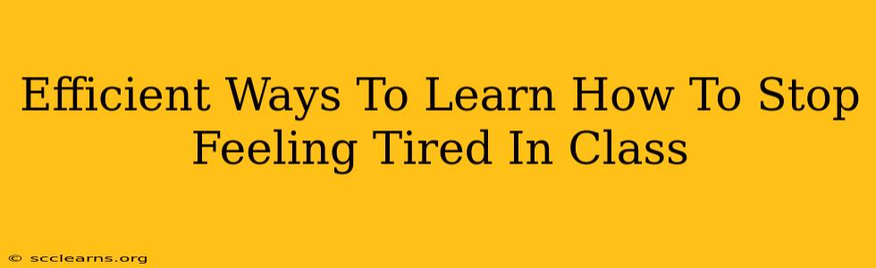 Efficient Ways To Learn How To Stop Feeling Tired In Class