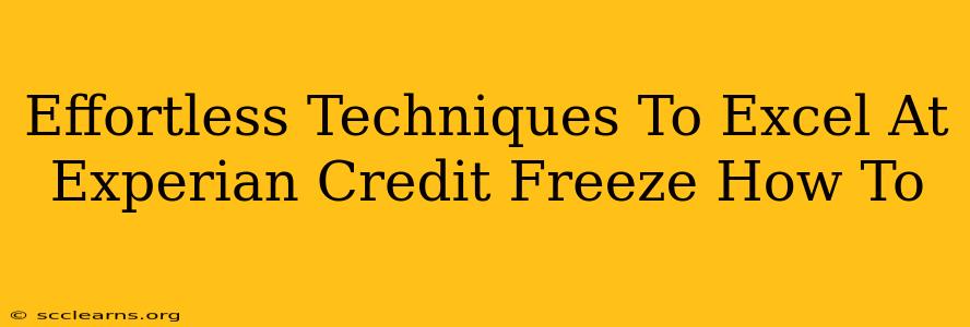 Effortless Techniques To Excel At Experian Credit Freeze How To