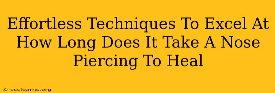 Effortless Techniques To Excel At How Long Does It Take A Nose Piercing To Heal