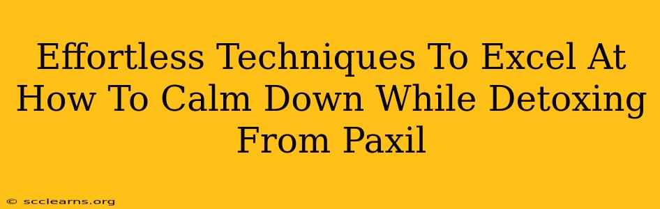 Effortless Techniques To Excel At How To Calm Down While Detoxing From Paxil