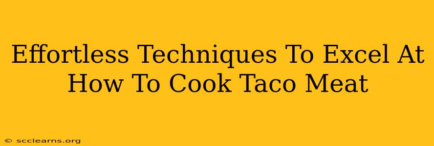 Effortless Techniques To Excel At How To Cook Taco Meat