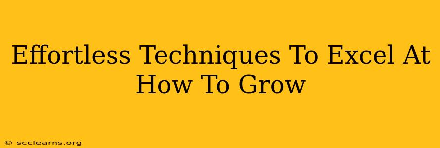 Effortless Techniques To Excel At How To Grow